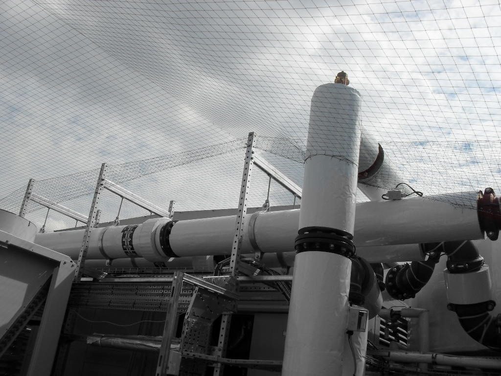 Bird Control in Bootle, Merseyside